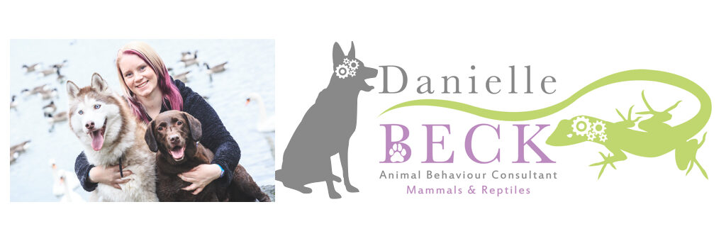 Danielle Beck Logo